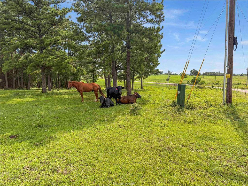 6779 County Road 215, Anderson, TX 77830