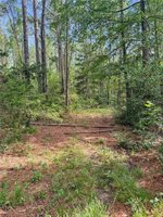 6779 County Road 215, Anderson, TX 77830