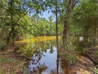 6779 County Road 215, Anderson, TX 77830