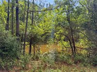 6779 County Road 215, Anderson, TX 77830