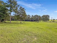 6779 County Road 215, Anderson, TX 77830