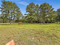 6779 County Road 215, Anderson, TX 77830