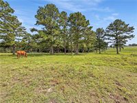 6779 County Road 215, Anderson, TX 77830