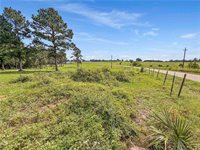 6779 County Road 215, Anderson, TX 77830