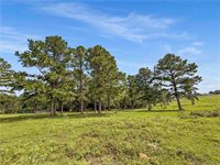 6779 County Road 215, Anderson, TX 77830