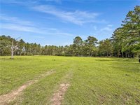 6779 County Road 215, Anderson, TX 77830