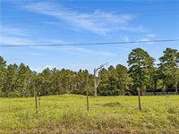 6779 County Road 215, Anderson, TX 77830