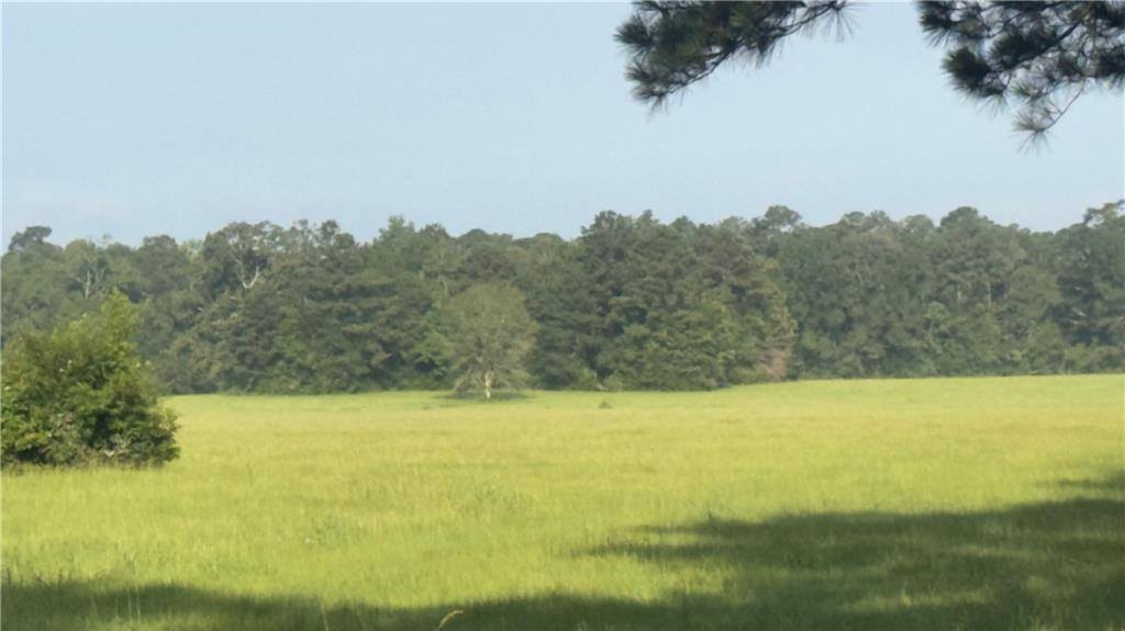 64559 Highway 51, Roseland, LA 70456