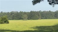 64559 Highway 51, Roseland, LA 70456