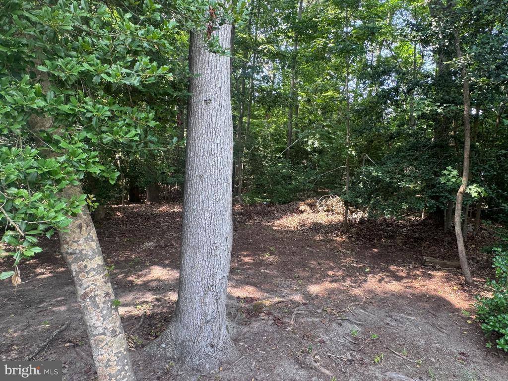 218 Long Neck Circle, Millsboro, DE 19966