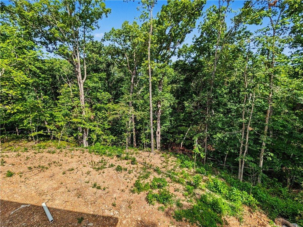 11 Carrick Drive, Bella Vista, AR 72715