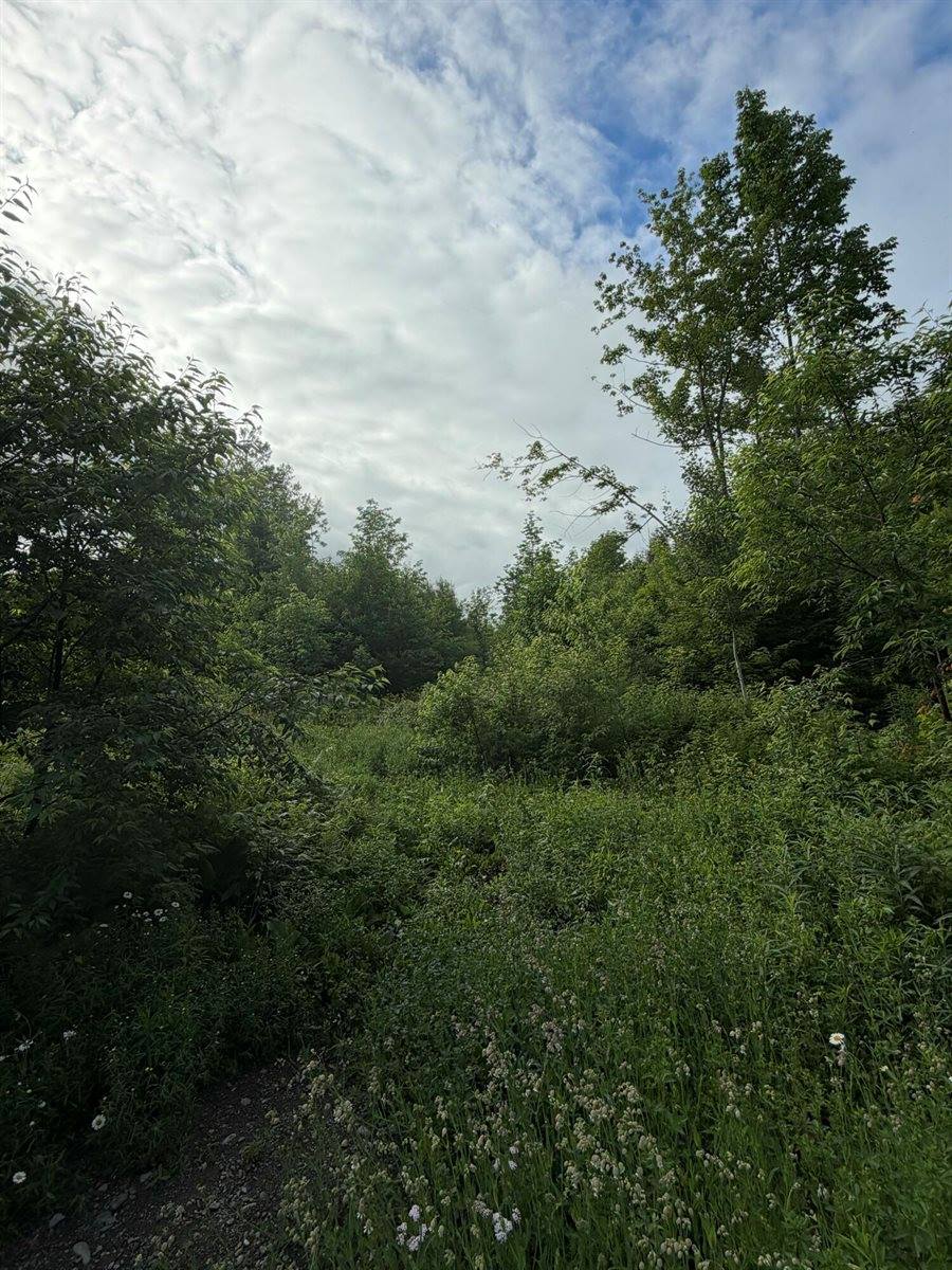 135 Hemore Road, Ludlow, ME 04730