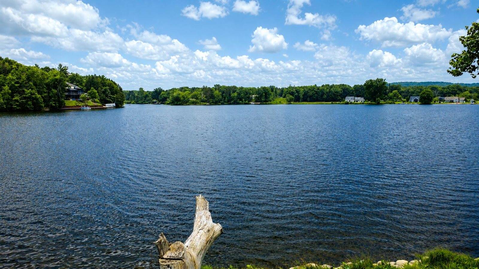1293 South Queensway Drive, Weidman, MI 48893