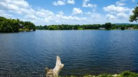 1293 South Queensway Drive, Weidman, MI 48893
