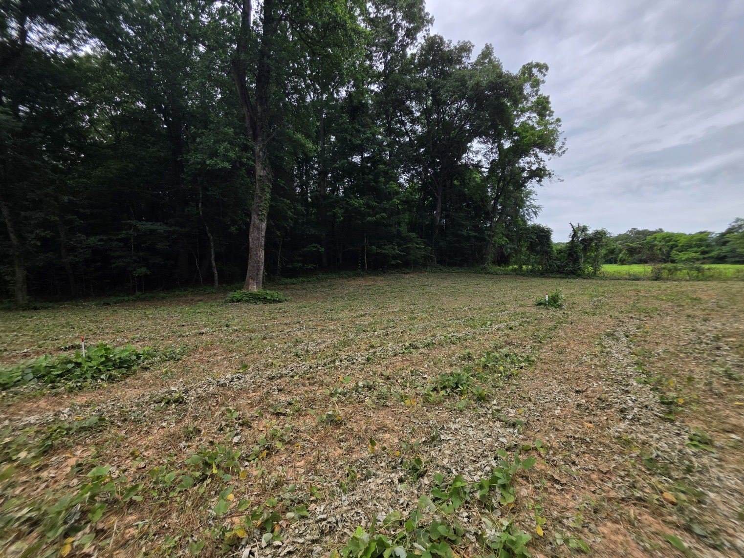 13 Shellsford Rd, McMinnville, TN 37110