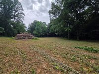 13 Shellsford Rd, McMinnville, TN 37110