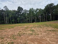13 Shellsford Rd, McMinnville, TN 37110