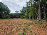 13 Shellsford Rd, McMinnville, TN 37110
