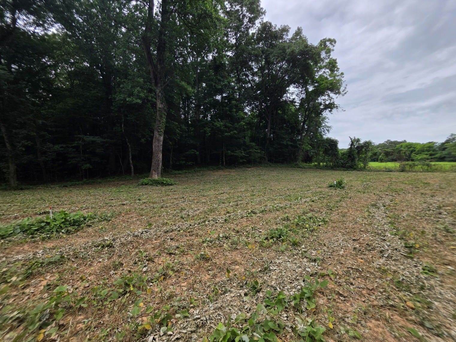 12 Shellsford Rd, McMinnville, TN 37110