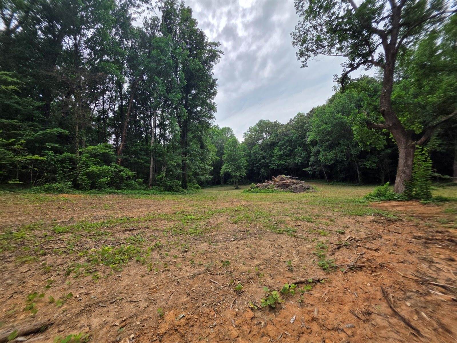 12 Shellsford Rd, McMinnville, TN 37110