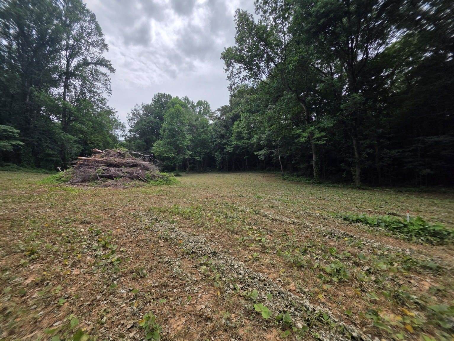 6 Shellsford Rd, McMinnville, TN 37110