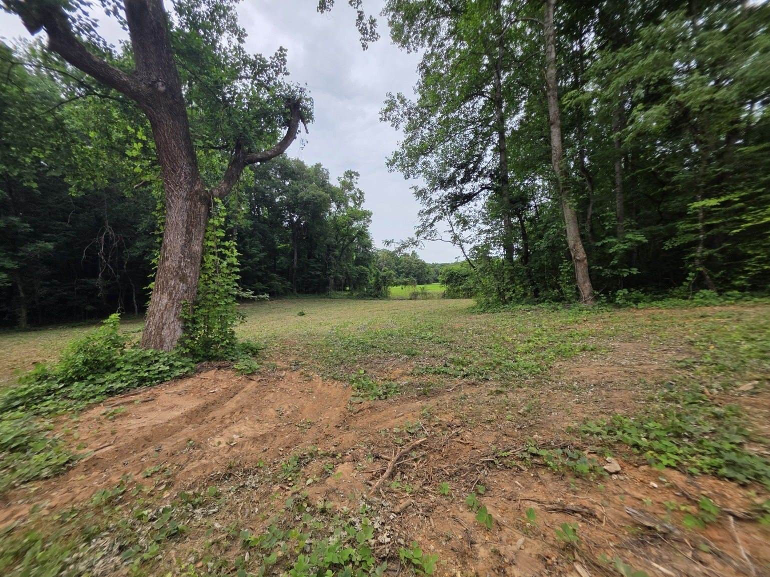6 Shellsford Rd, McMinnville, TN 37110
