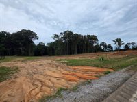 6 Shellsford Rd, McMinnville, TN 37110