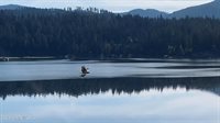 14979 North Shenandoah Dr, Hayden, ID 83835