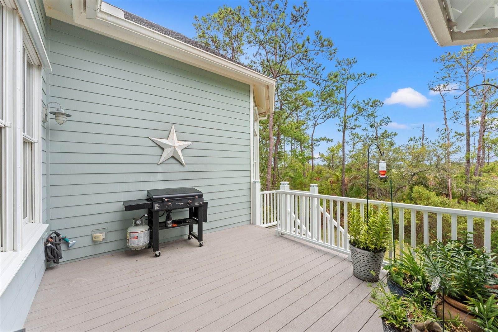 4550 Cape Island Drive, Awendaw, SC 29429