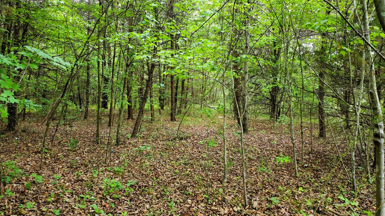 Stoneville, NC 27048