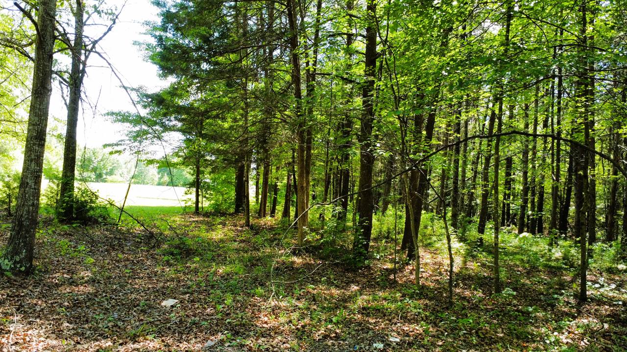 Stoneville, NC 27048