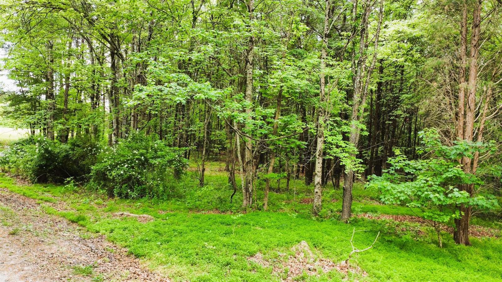 Stoneville, NC 27048