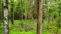 Stoneville, NC 27048