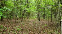 Stoneville, NC 27048