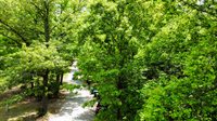 Stoneville, NC 27048