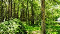 Stoneville, NC 27048