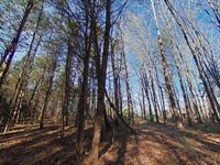 Stoneville, NC 27048
