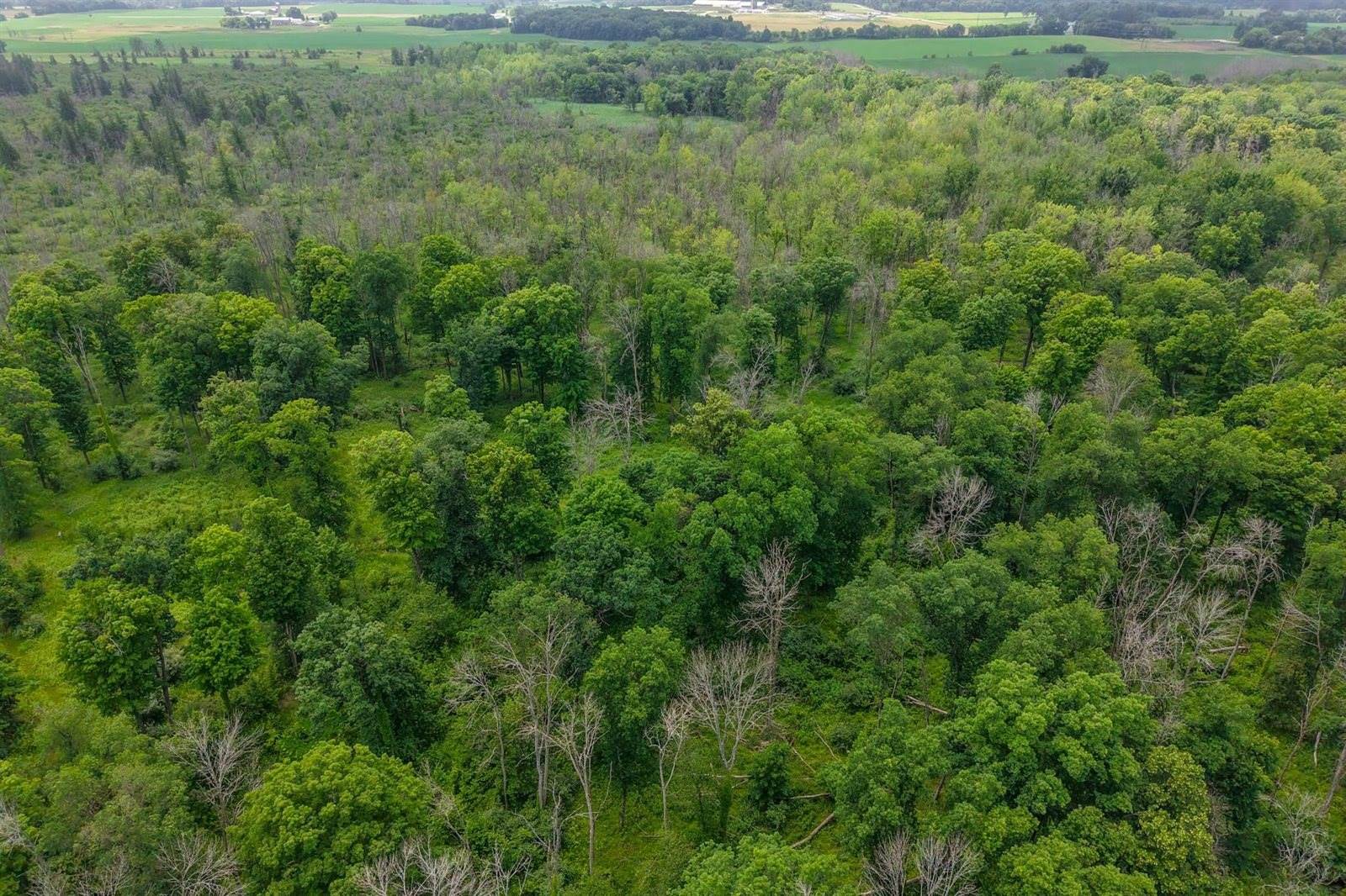 W7181 Duck Creek Avenue, Westfield, WI 53964