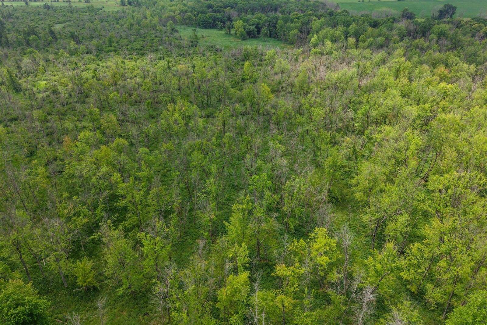 W7181 Duck Creek Avenue, Westfield, WI 53964