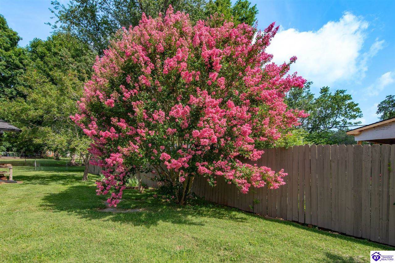 548 Brentmoor Avenue, Bowling Green, KY 42101