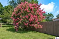 548 Brentmoor Avenue, Bowling Green, KY 42101