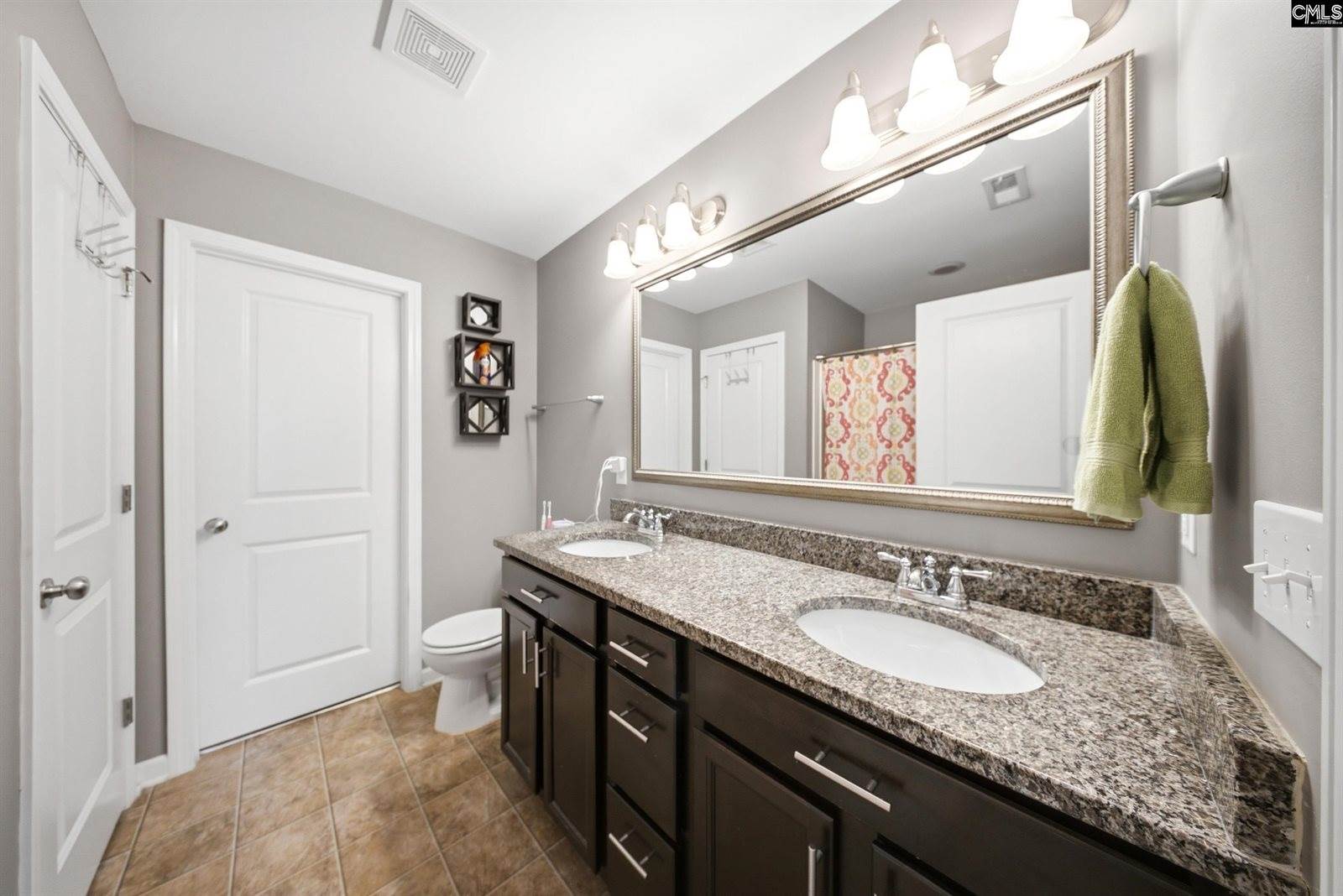 232 Chestnut Oak, Lexington, SC 29169