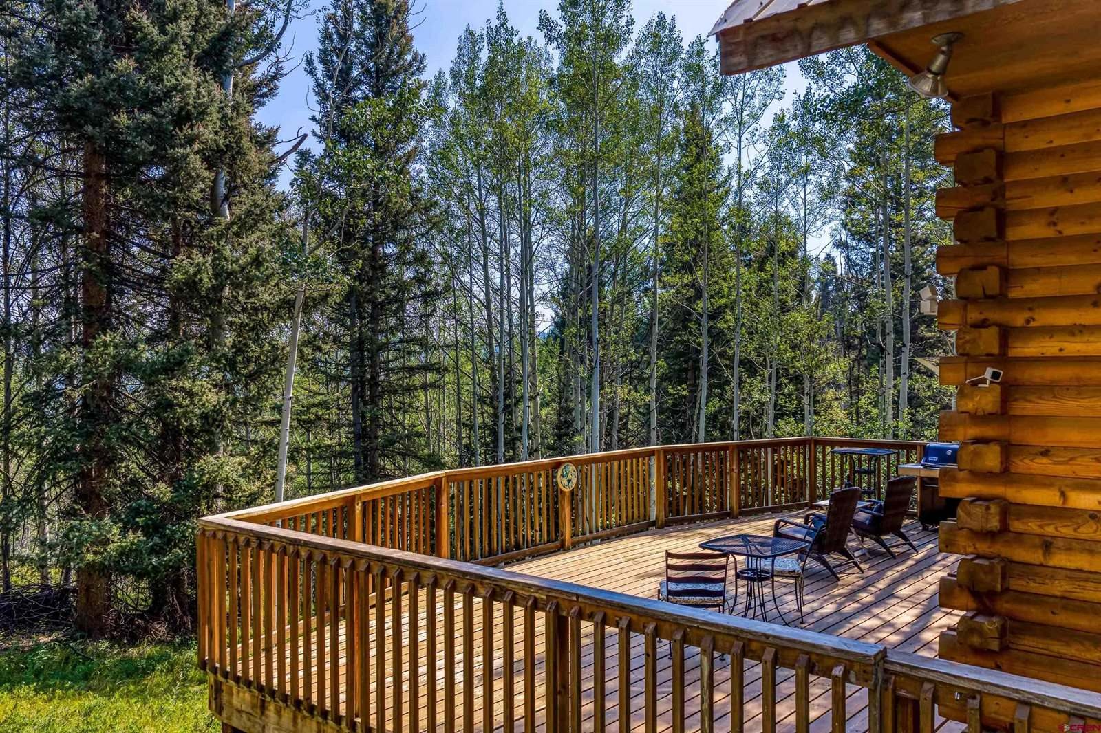 201 Lake Road, Cimarron, CO 81220