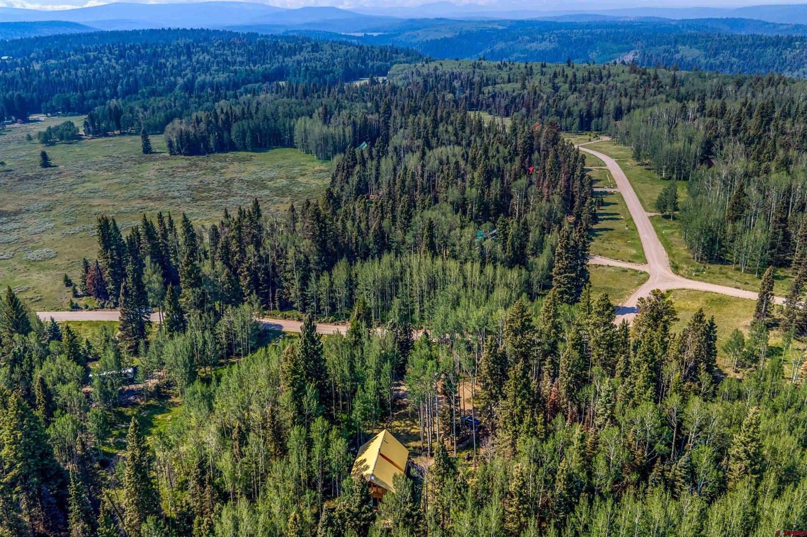 201 Lake Road, Cimarron, CO 81220