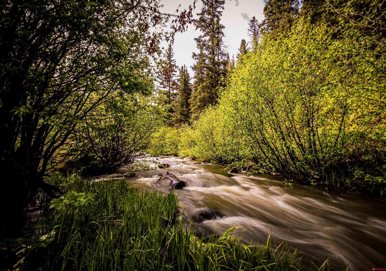 201 Lake Road, Cimarron, CO 81220