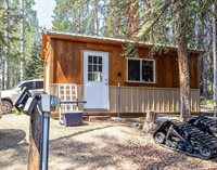 201 Lake Road, Cimarron, CO 81220