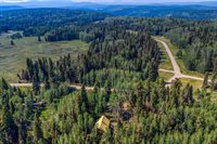 201 Lake Road, Cimarron, CO 81220