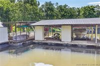 31861 Ginger Road, Gravois Mills, MO 65037