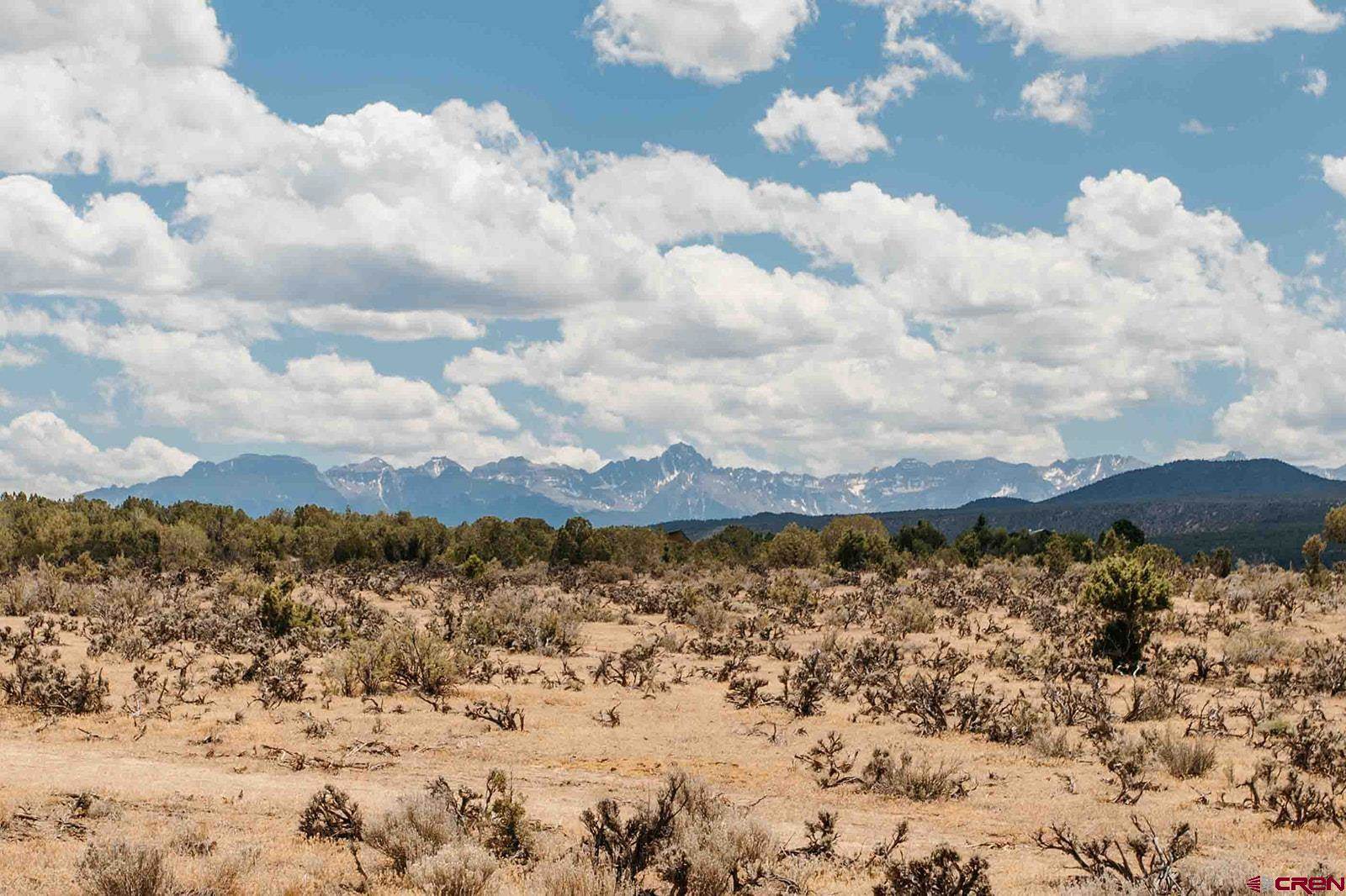 70746 Buckhorn Road, Montrose, CO 81403