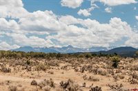 70746 Buckhorn Road, Montrose, CO 81403